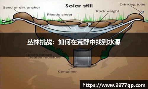丛林挑战：如何在荒野中找到水源